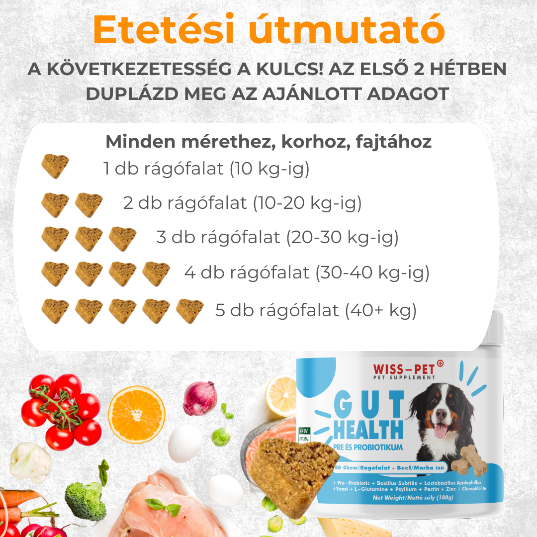 Hipoallergén Pre- és Probiotikum Kutyáknak