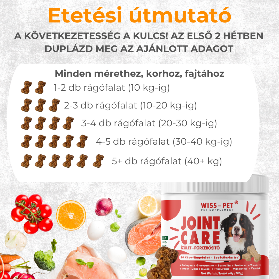 Hipoallergén Ízületvédő és Porcerősítő Kutyáknak