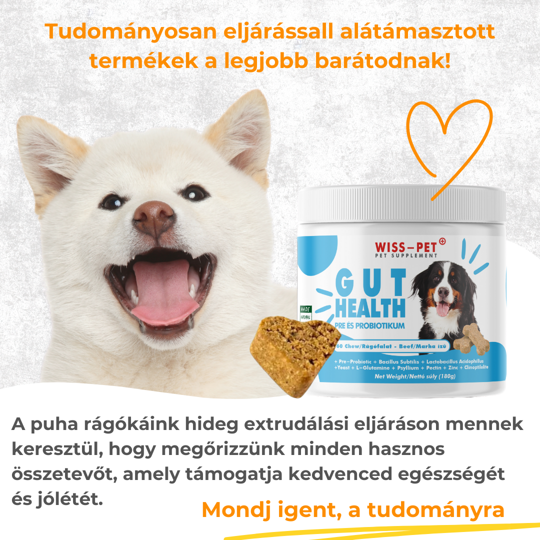 Hipoallergén Pre- és Probiotikum Kutyáknak