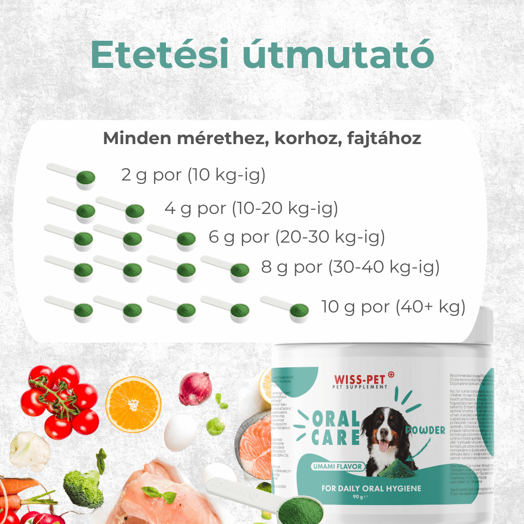 Dental Fogápolás Kutyáknak