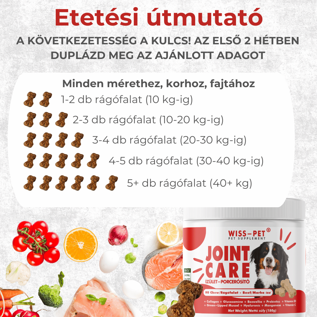 Ízületvédő és Porcerősítő Kutyáknak