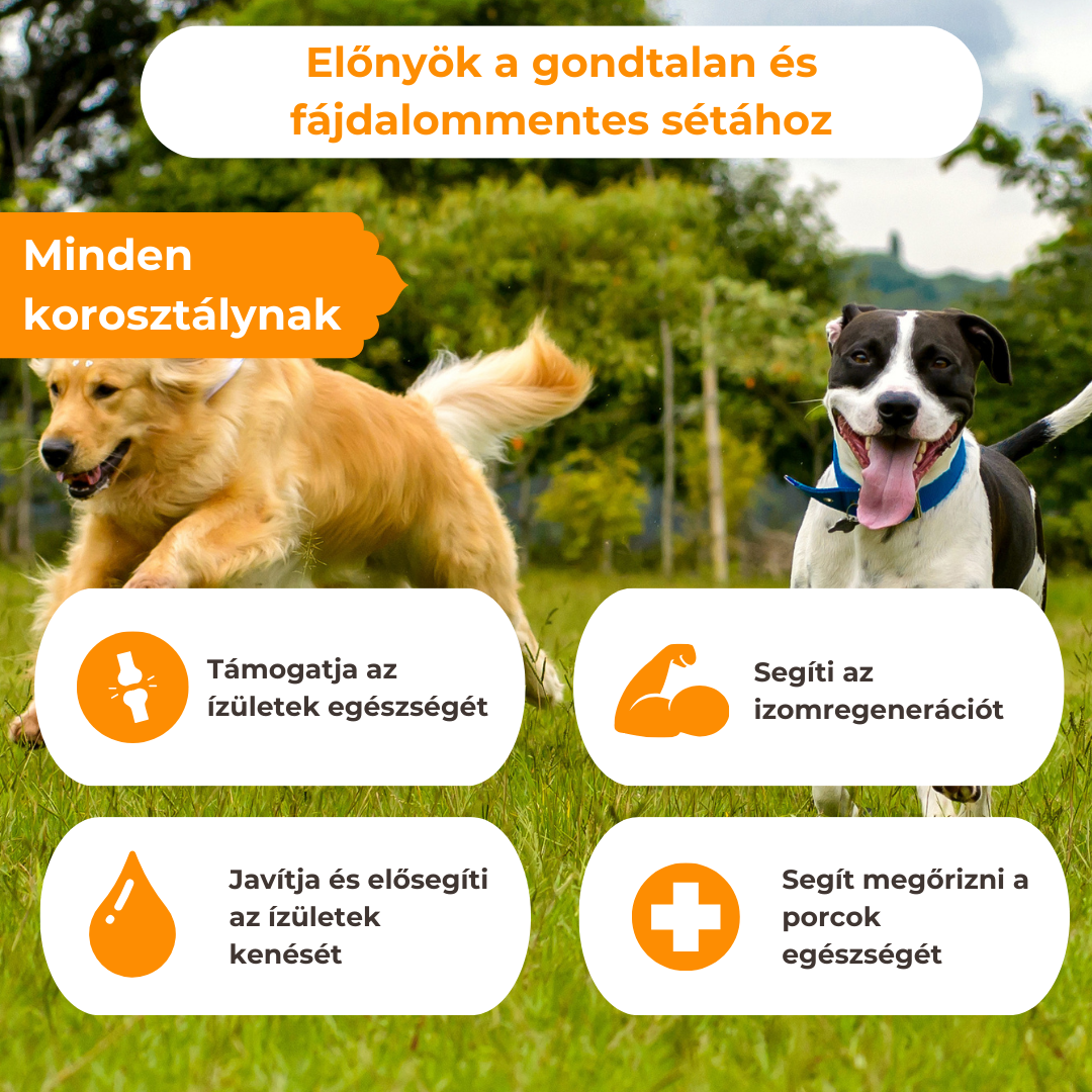 Hipoallergén Ízületvédő és Porcerősítő Kutyáknak
