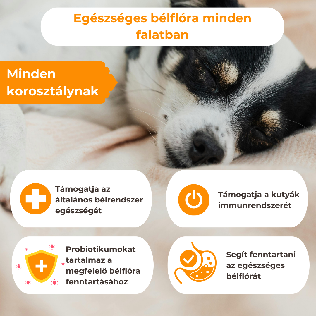 Hipoallergén Pre- és Probiotikum Kutyáknak