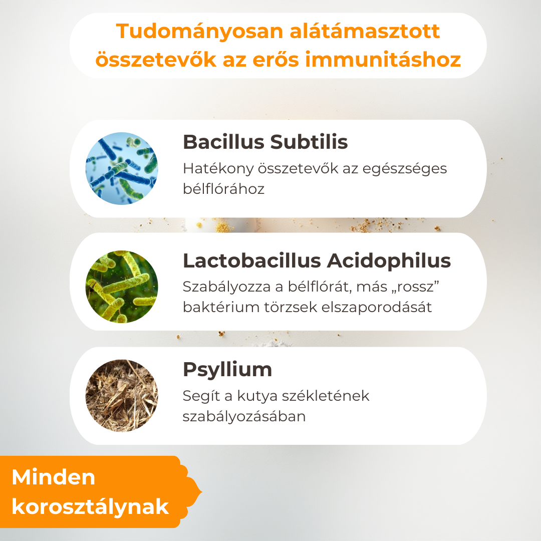 Hipoallergén Pre- és Probiotikum Kutyáknak