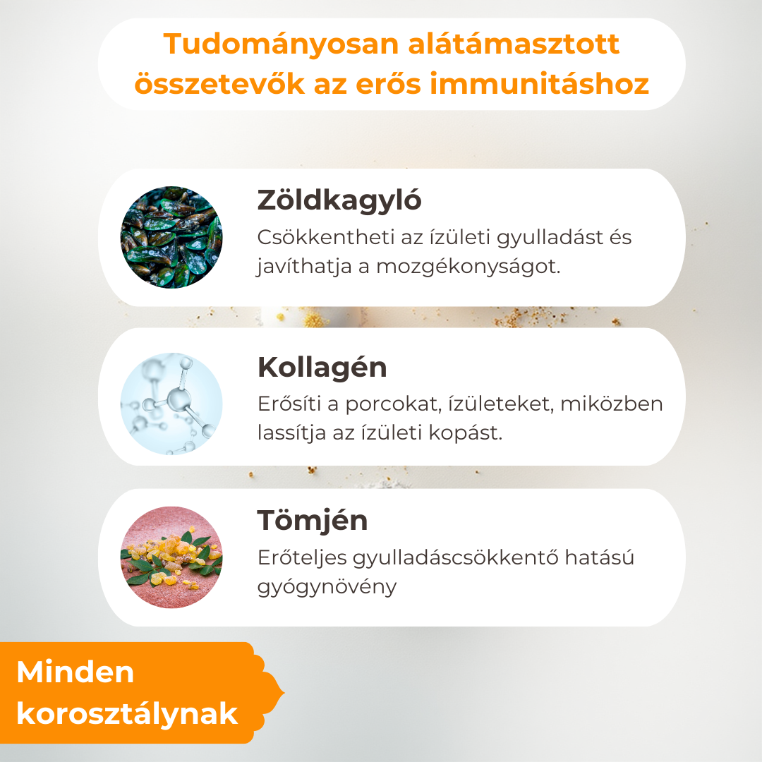 Hipoallergén Ízületvédő és Porcerősítő Kutyáknak