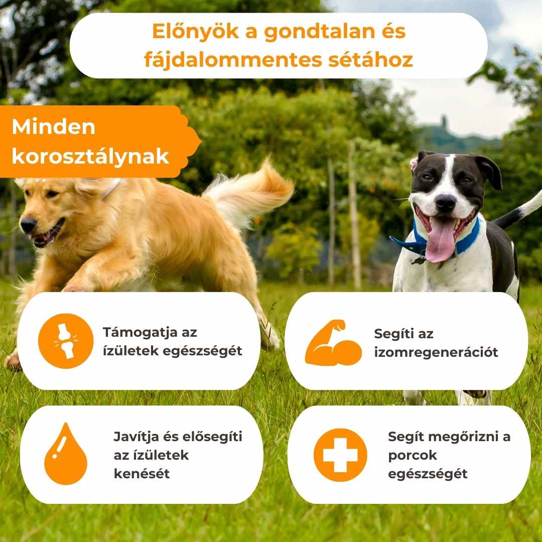Ízületvédő és Porcerősítő Kutyáknak