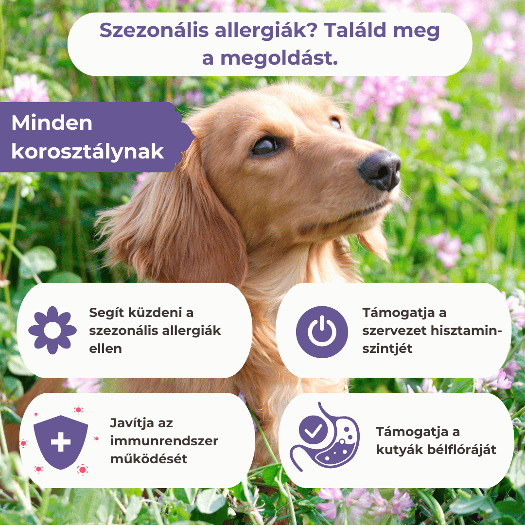 Allergia Elleni Immunerősítő Kutyáknak