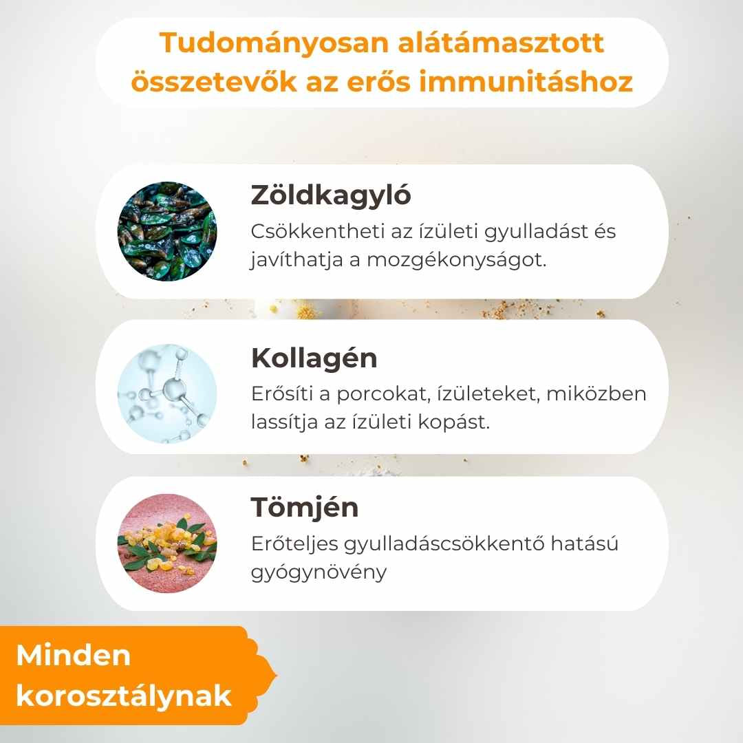 Ízületvédő és Porcerősítő Kutyáknak