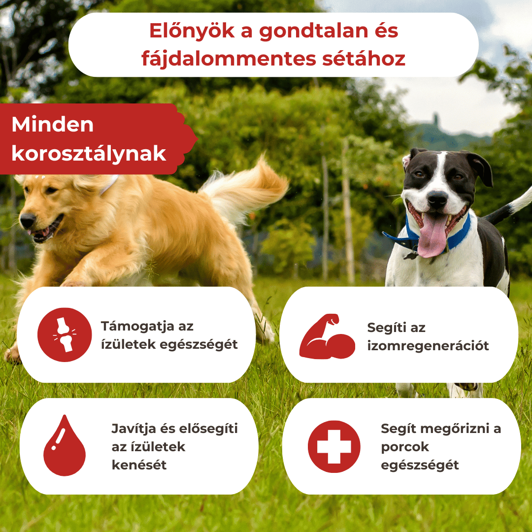 Ízületvédő és Porcerősítő Kutyáknak