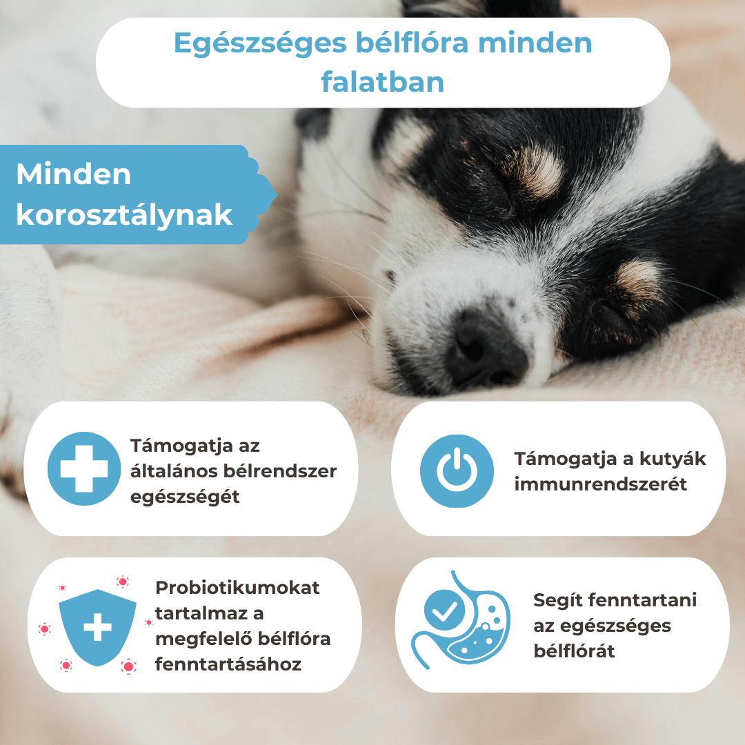 Pre- és Probiotikum Kutyáknak