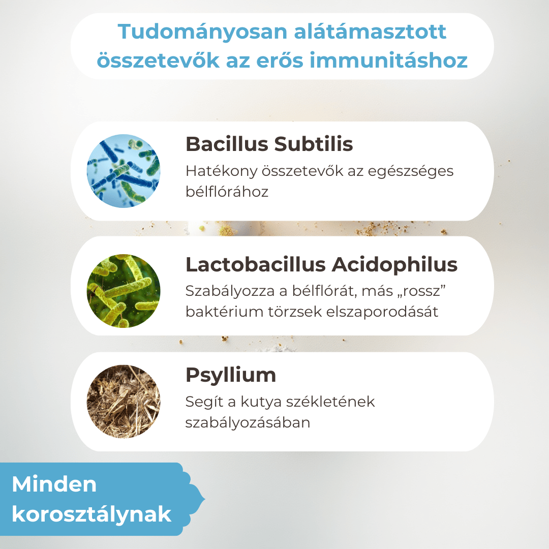 Pre- és Probiotikum Kutyáknak