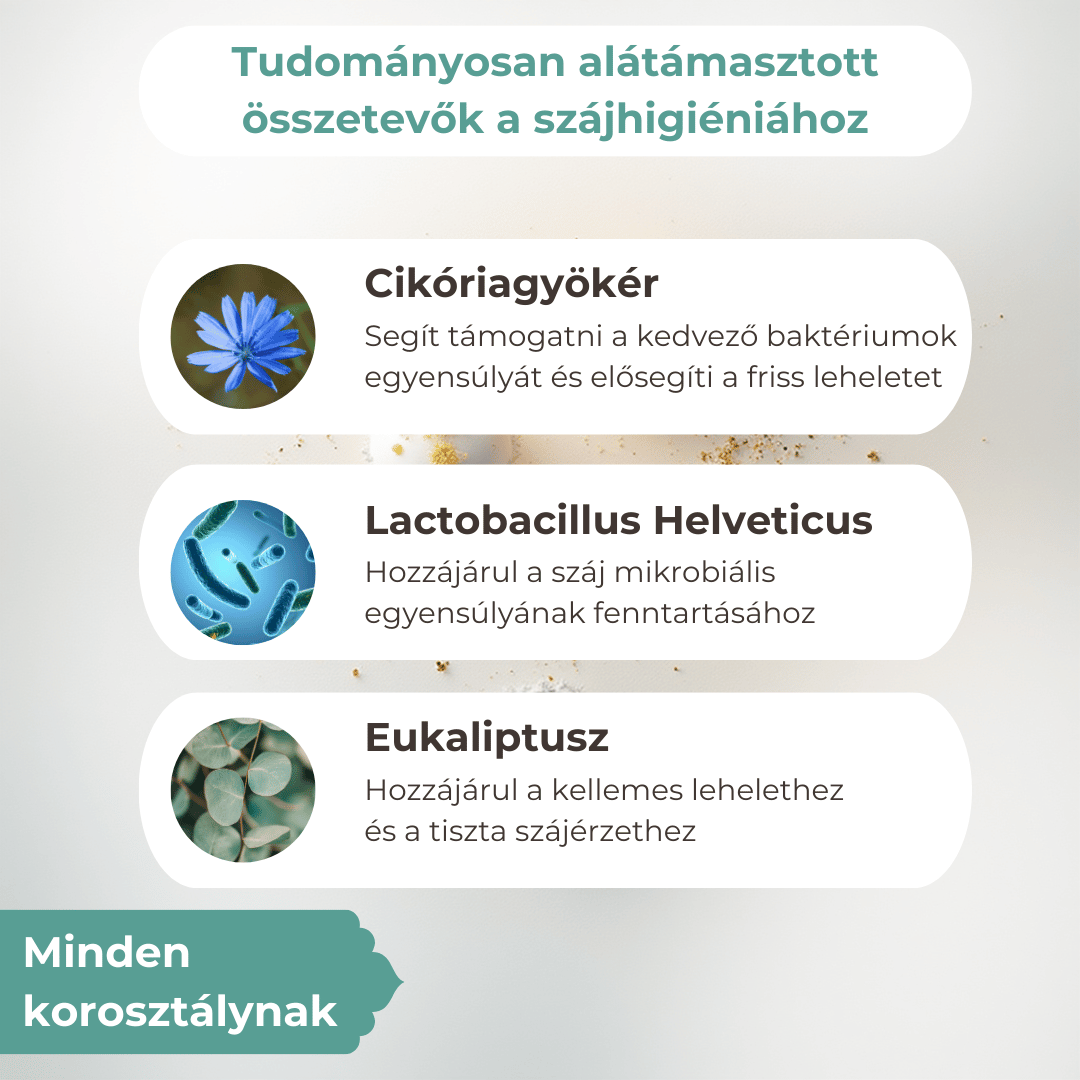 Dental Fogápolás Kutyáknak