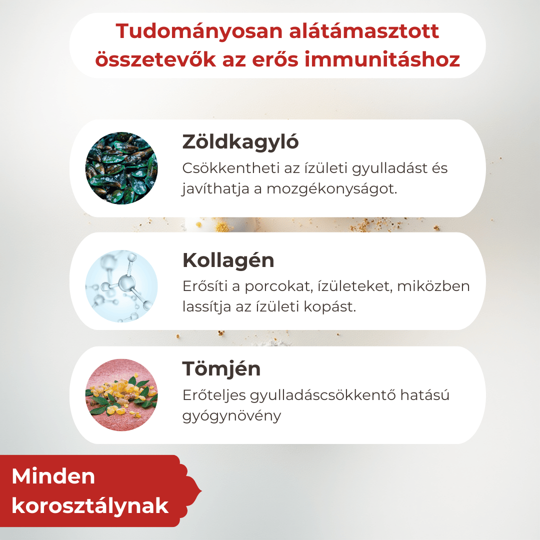 Ízületvédő és Porcerősítő Kutyáknak