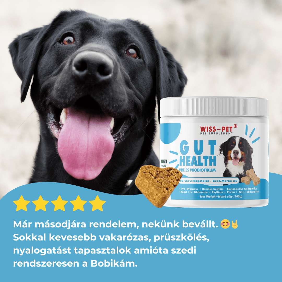 Pre- és Probiotikum Kutyáknak