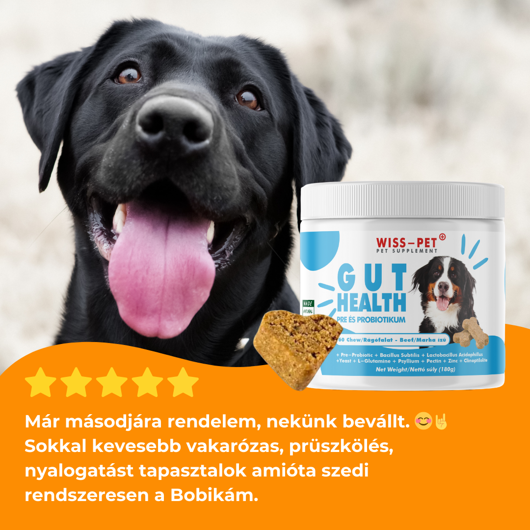 Hipoallergén Pre- és Probiotikum Kutyáknak