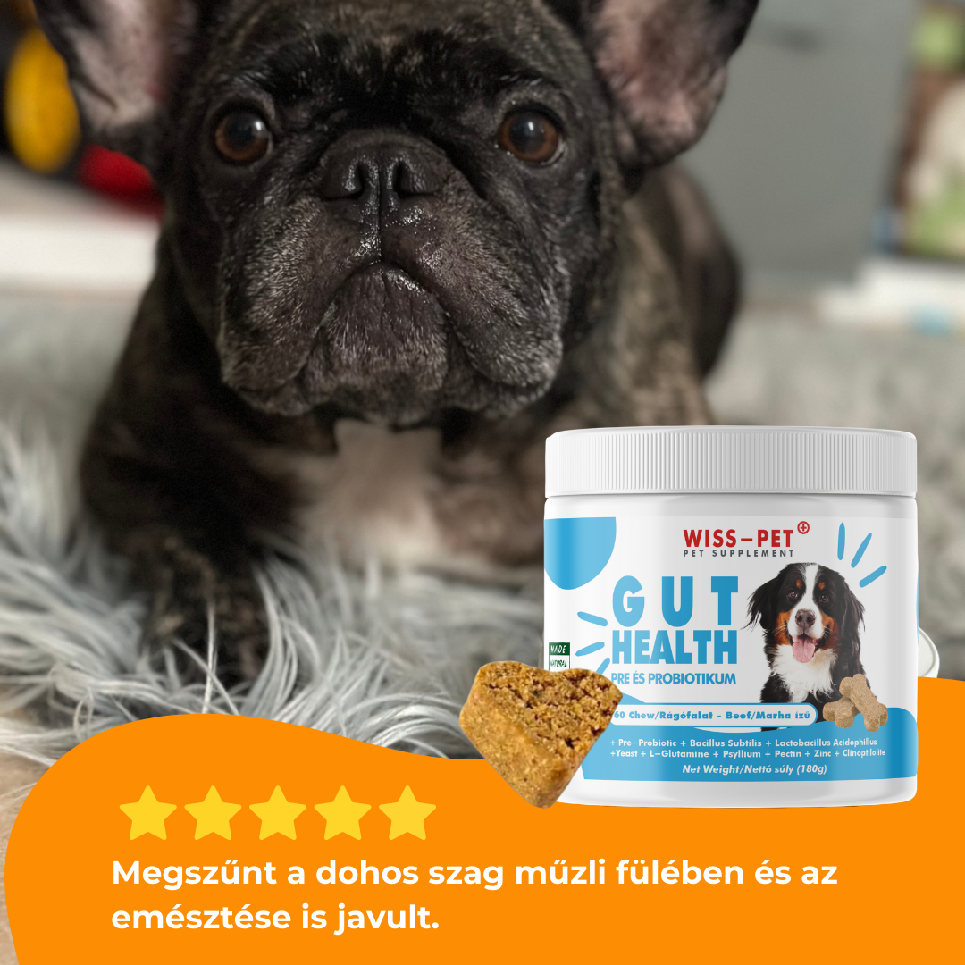 Hipoallergén Pre- és Probiotikum Kutyáknak