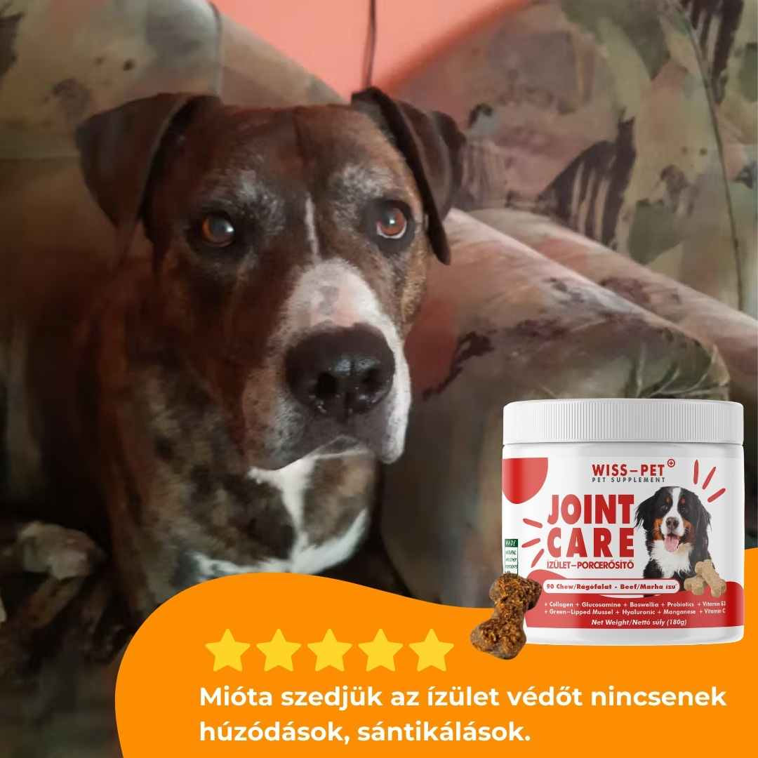 Ízületvédő és Porcerősítő Kutyáknak