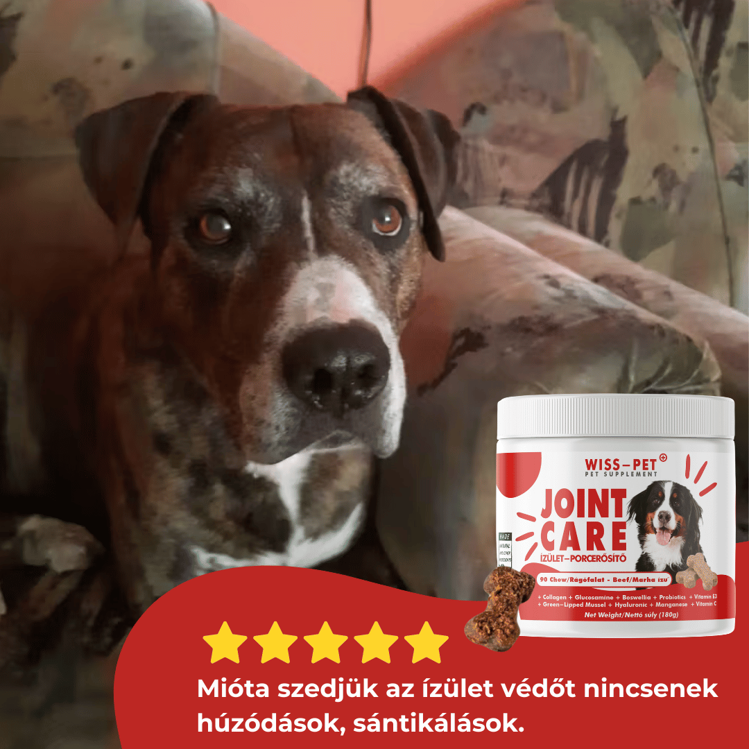 Ízületvédő és Porcerősítő Kutyáknak