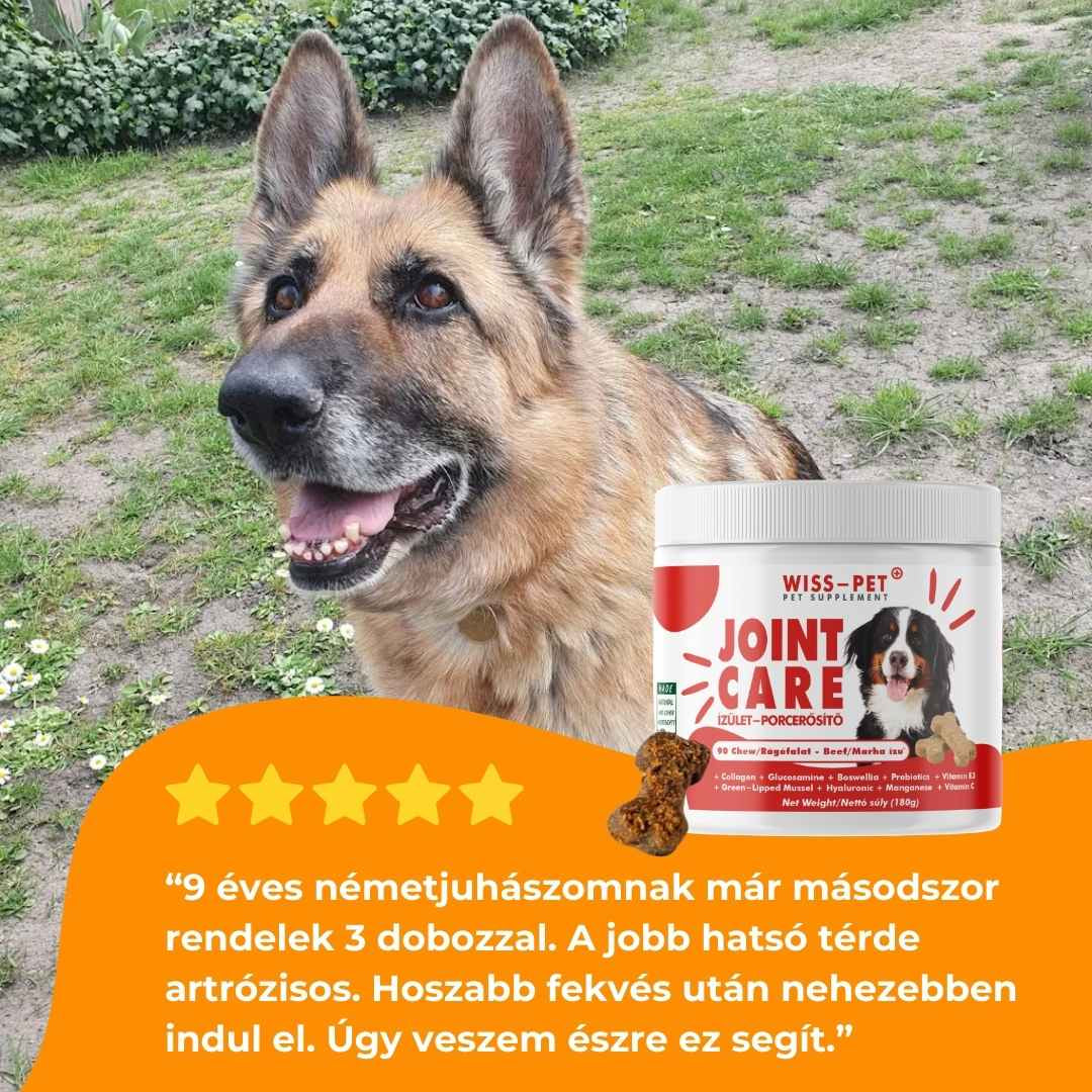Ízületvédő és Porcerősítő Kutyáknak