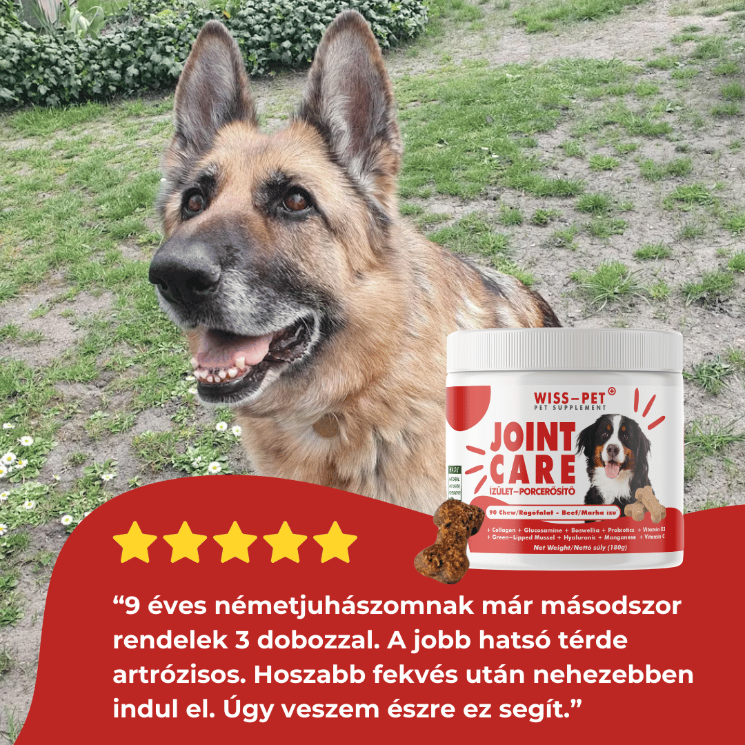 Ízületvédő és Porcerősítő Kutyáknak