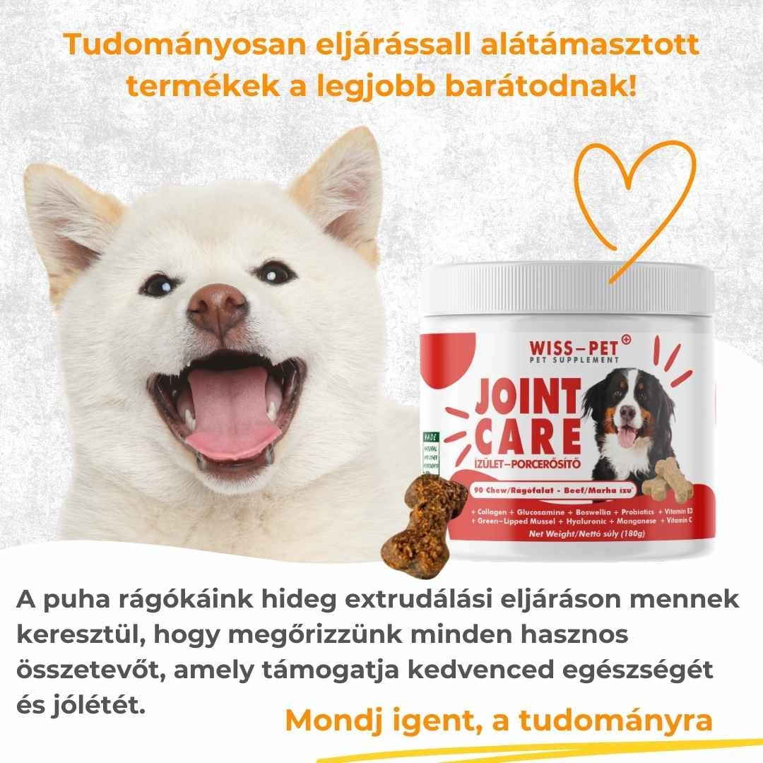 Ízületvédő és Porcerősítő Kutyáknak