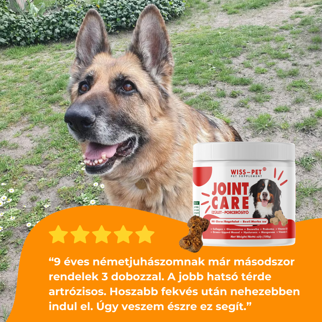 Hipoallergén Ízületvédő és Porcerősítő Kutyáknak