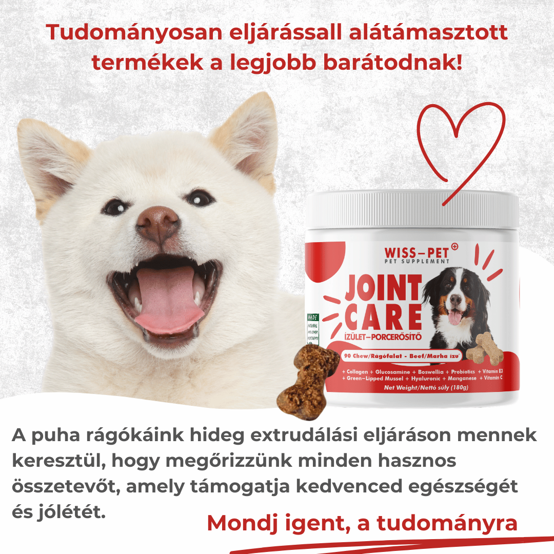 Ízületvédő és Porcerősítő Kutyáknak